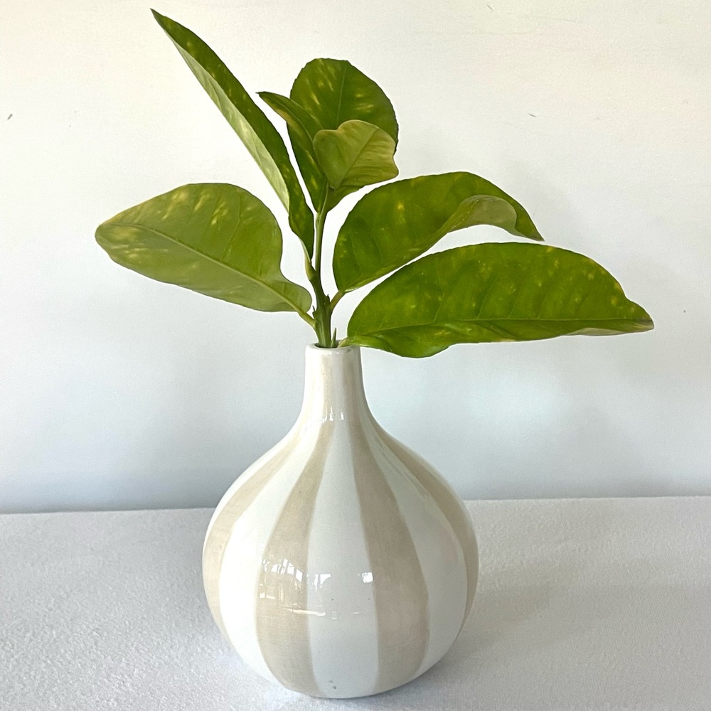 Jonathan Adler Happy Home Striped Bulbous vase, cream/white, EUC